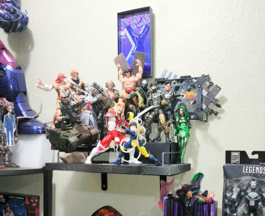 Display by Maxwell_Pegasus