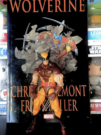 Display by Xzavier20