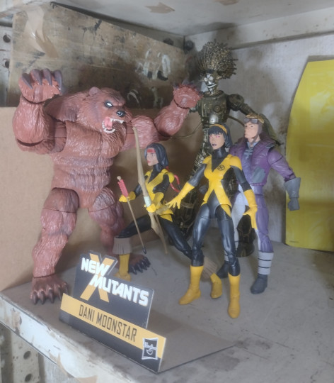 Display by Donpojo