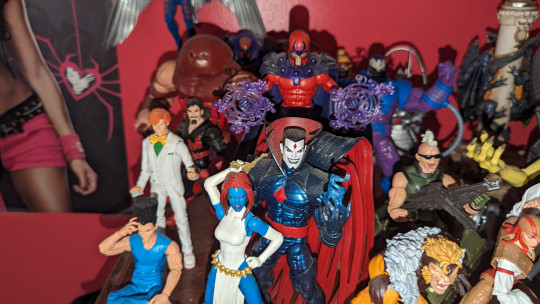 Display by Loganxdanstoys