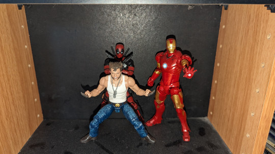 Display by Loganxdanstoys