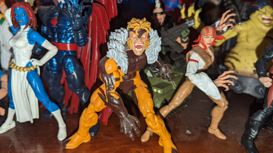 Display by Loganxdanstoys