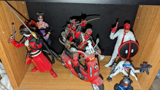 Display by Loganxdanstoys