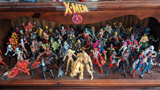 Display by Loganxdanstoys