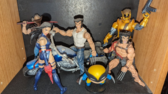 Display by Loganxdanstoys