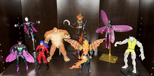Display by Krakoand