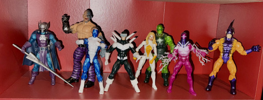 Display by Krakoand