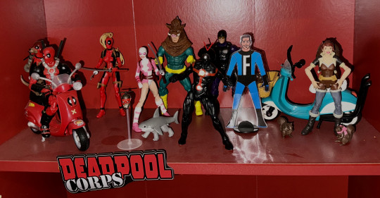 Display by Krakoand
