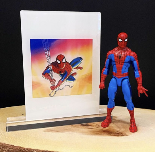 Display by Ibryanvilla