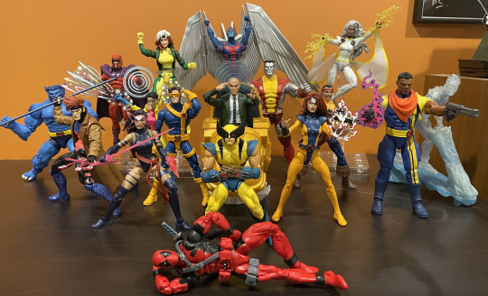 Display by Chamber55
