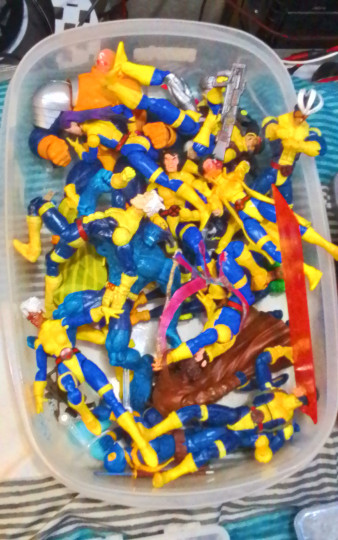 Display by Maxwell_Pegasus