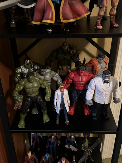 Display by Sabretooth_8Urj: Hulk shelf
"Punny Banner doesn't deserve to be on this shel...