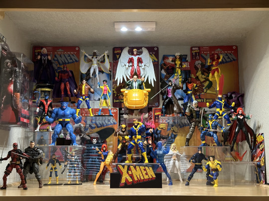 Display by Dekusinagi_X