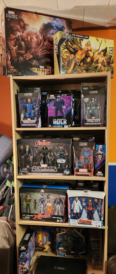 Display by Rogers