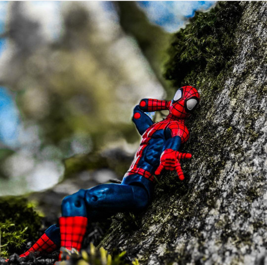 Display by Maximoff_Ra4P
