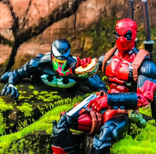 Display by Maximoff_Ra4P