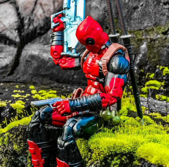 Display by Maximoff_Ra4P