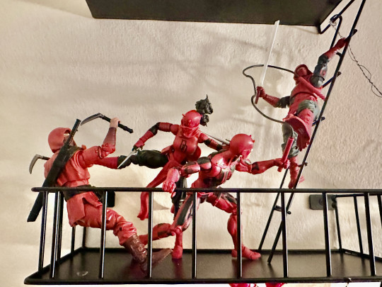 Display by TabCeezey