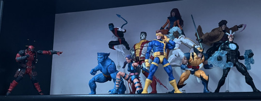 Display by Muggydj