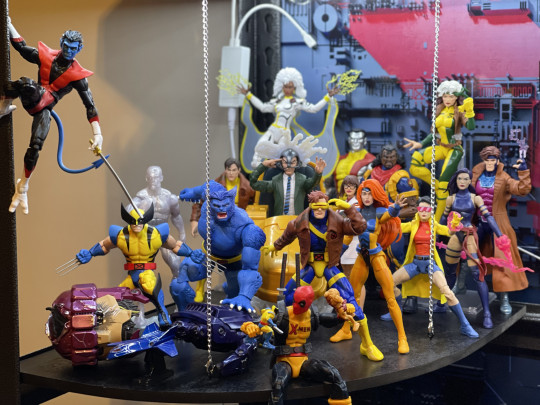 Display by Koleccionista