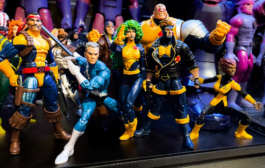 Display by Koleccionista