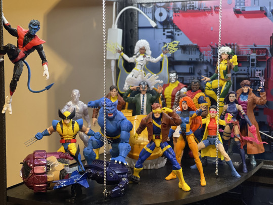 Display by Koleccionista