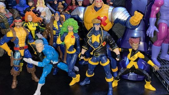 Display by Koleccionista