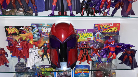 Display by Koleccionista