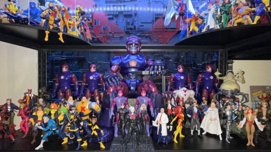 Display by Koleccionista