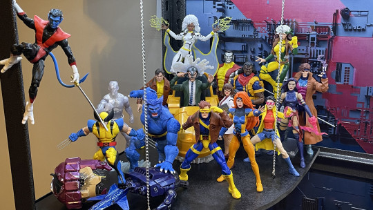 Display by Koleccionista