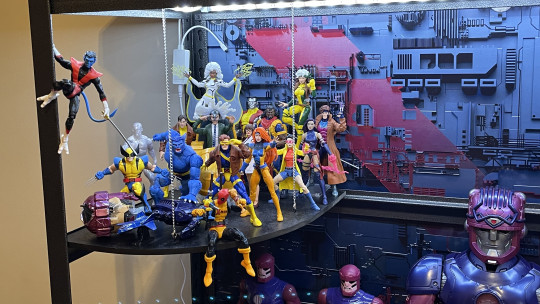 Display by Koleccionista