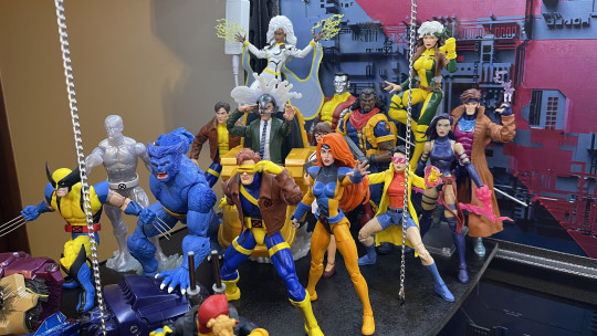 Display by Koleccionista