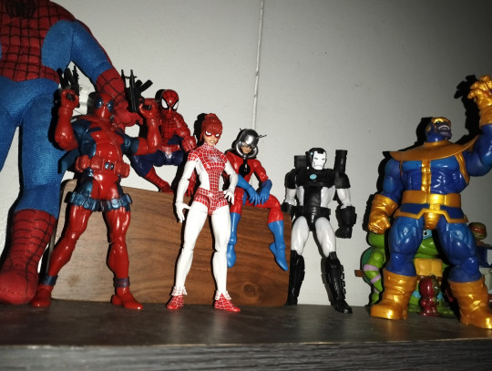 Display by Gabbagalsf15
