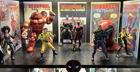 Display by Chaucer89