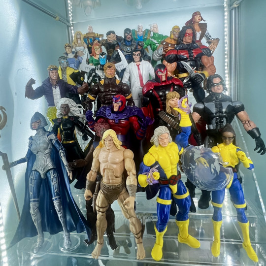 Display by Askani’son