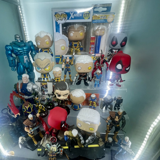 Display by Askani’son