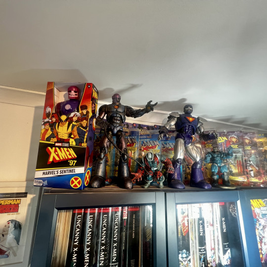 Display by Askani’son