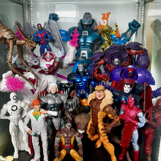 Display by Askani’son