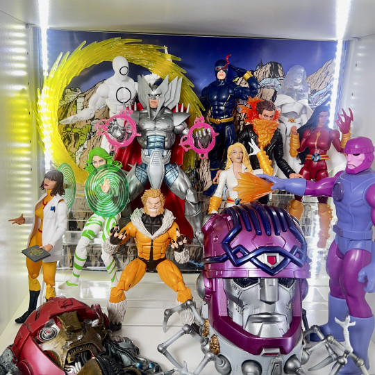 Display by Askani’son