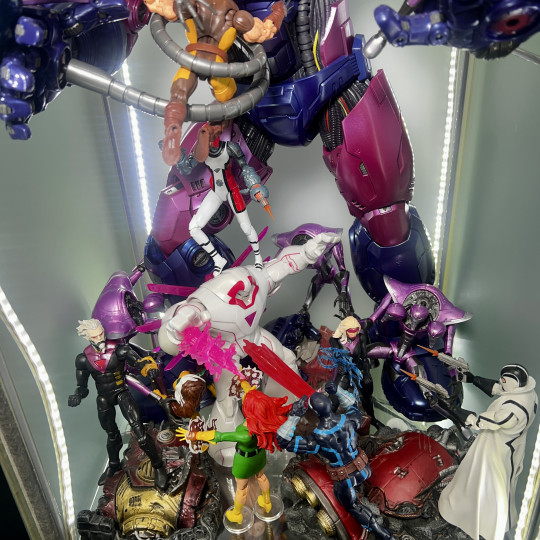 Display by Askani’son