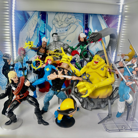 Display by Askani’son