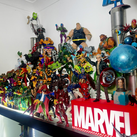Display by Askani’son
