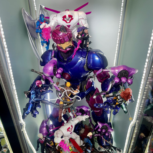 Display by Askani’son