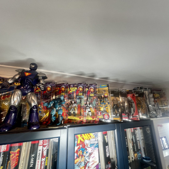 Display by Askani’son