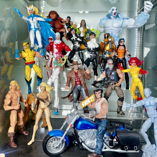 Display by Askani’son