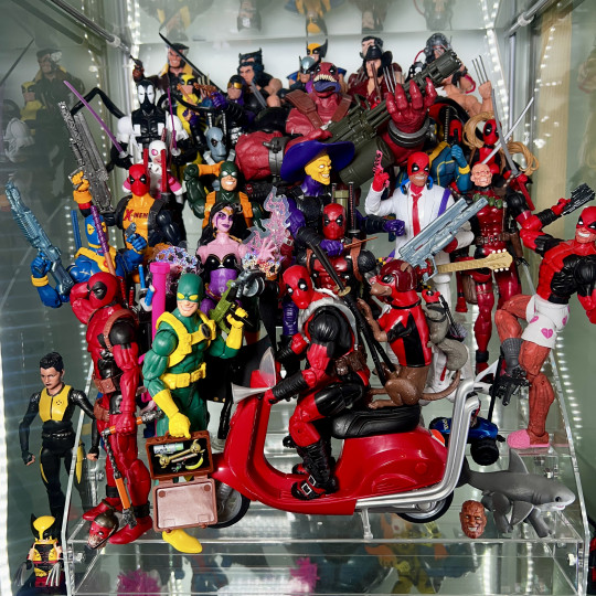 Display by Askani’son