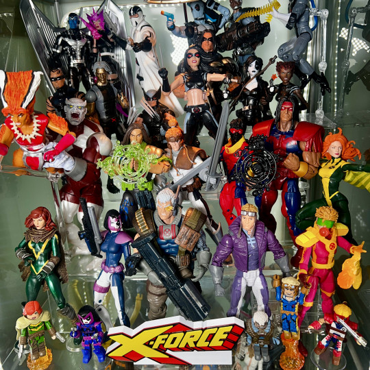 Display by Askani’son
