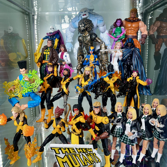 Display by Askani’son