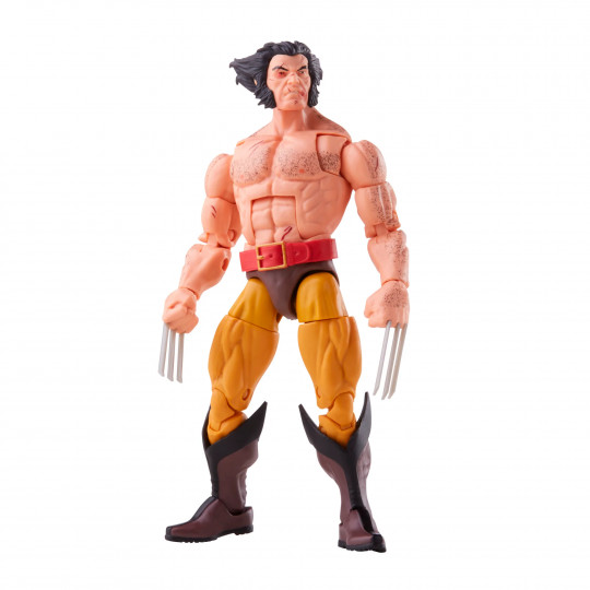 Display by Grandebandito: Wolverine