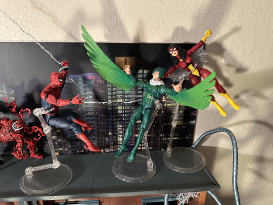 Display by TabCeezey